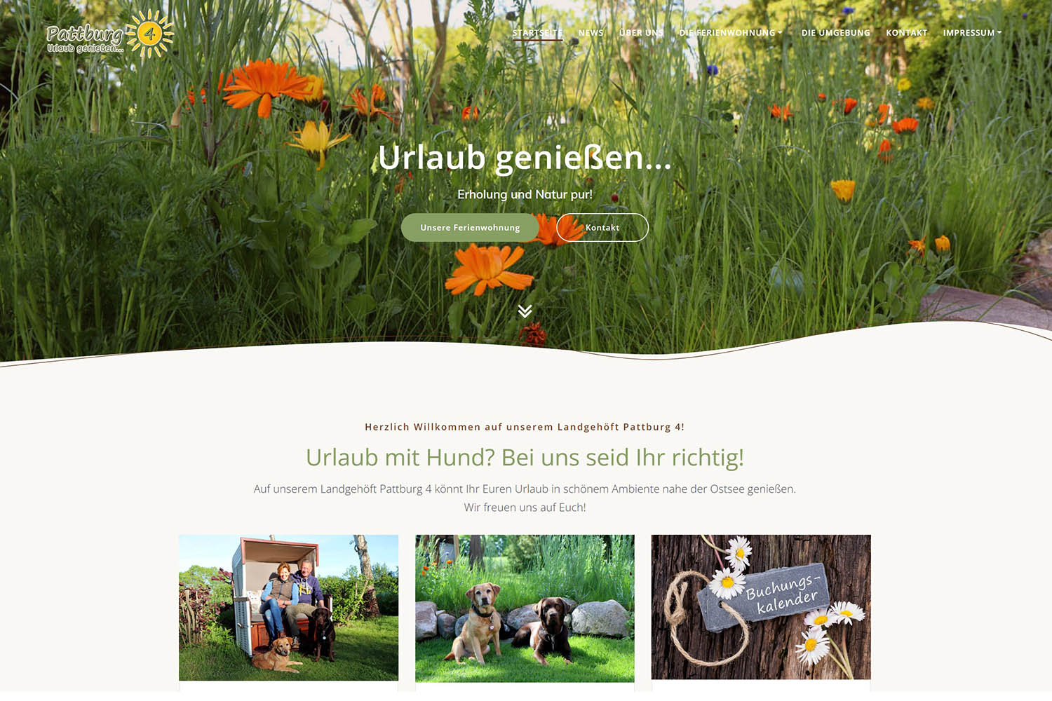 Website vom Landgehöft Pattburg - Urlaub mit Hund