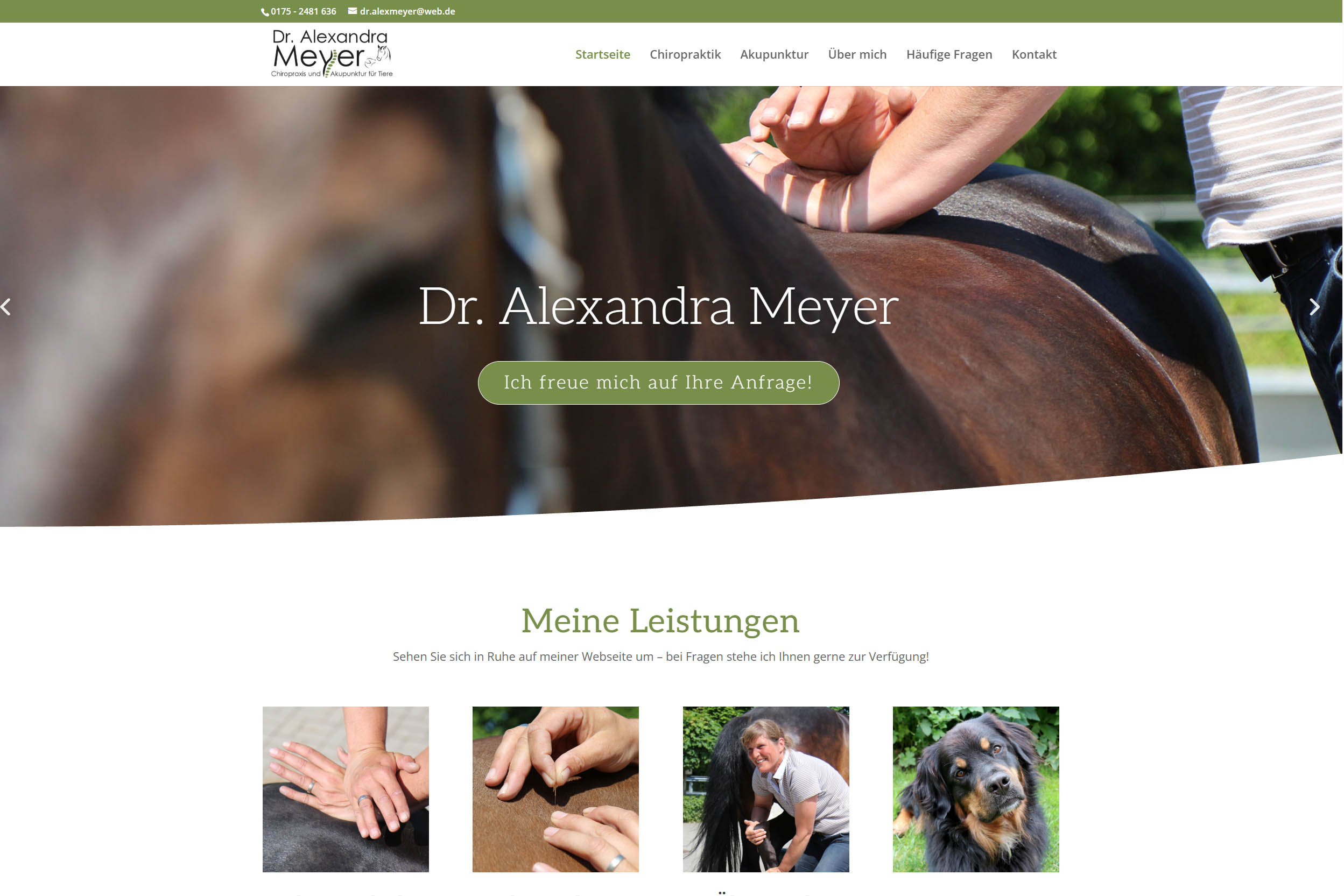 Alex Meyer Website von 3B Satrup